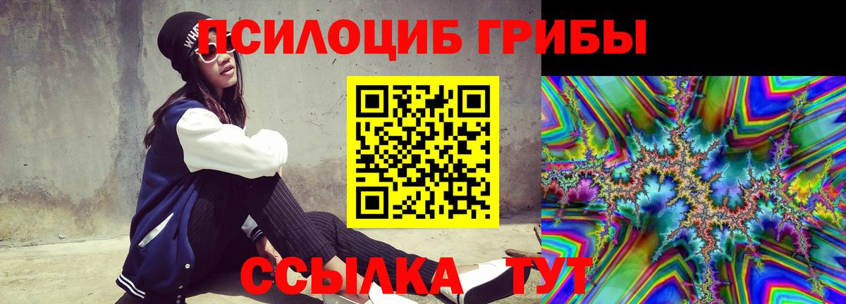 Реутов  Галлюциногенные грибы MAGIC MUSHROOMS  Вход с VPN 