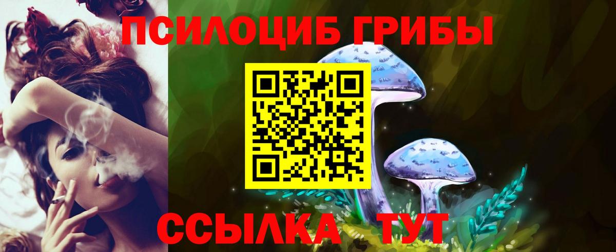 Галлюциногенные грибы Psilocybine cubensis Реутов